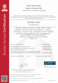 PDF ISO 9001